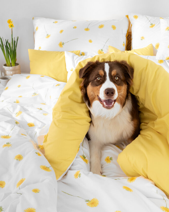 Bettwäsche aus Baumwolle Duo - Löwenzahn mit gelb