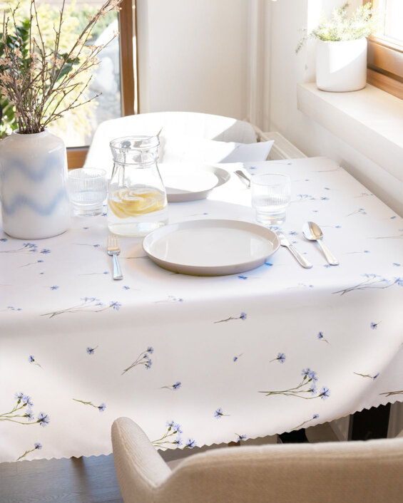 Jarní kolekce - Chrpy