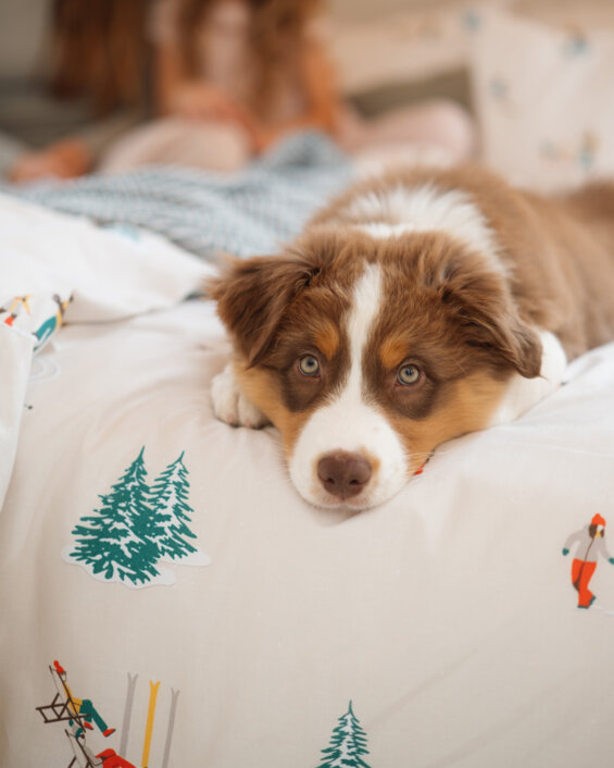 Vanocni-radovanky-detail