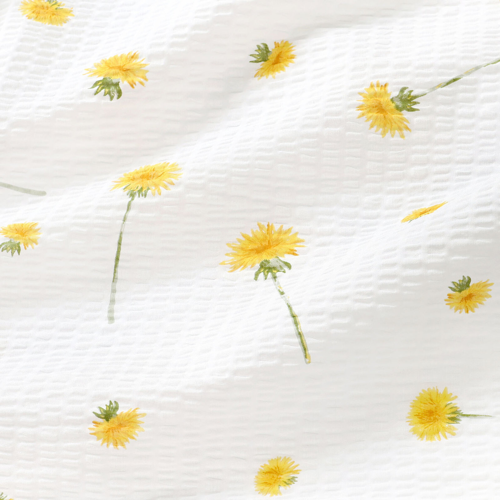 Seersucker - Löwenzahn